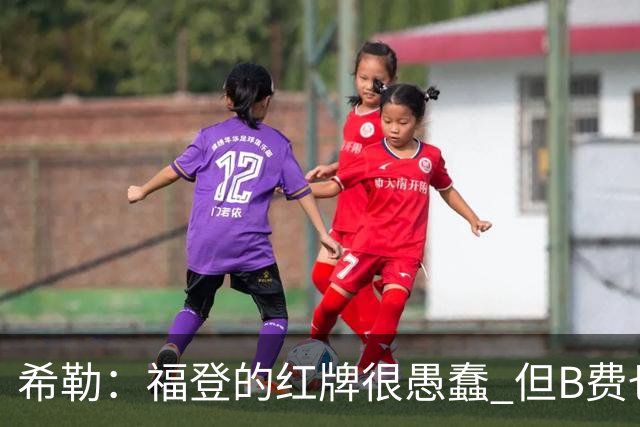 希勒：福登的红牌很愚蠢 但B费也应该被红牌罚下，如果罚就都得罚